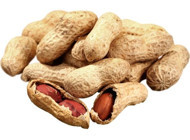 Qavruq Kuruyemiş Kabuklu Tuzsuz Kavrulmuş Yer Fıstığı 500 gr