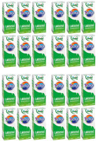 Pınar Denge Laktozsuz Sade İnek Süt 24x200 ml