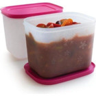 Tupperware Alaska Kare Plastik Saklama Kabı 2'lix450 ml