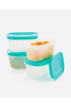 Tupperware Alaska Dikdörtgen Plastik Saklama Kabı 4'lüx170 ml