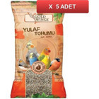 Gold Wings Kabuklu Yulaflı Vitaminli Yavru Yetişkin Kanarya Yemi 5x300 gr