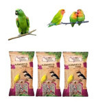 Gold Wings Kabuklu Meyveli Yavru Yetişkin Kanarya Yemi 3x300 gr