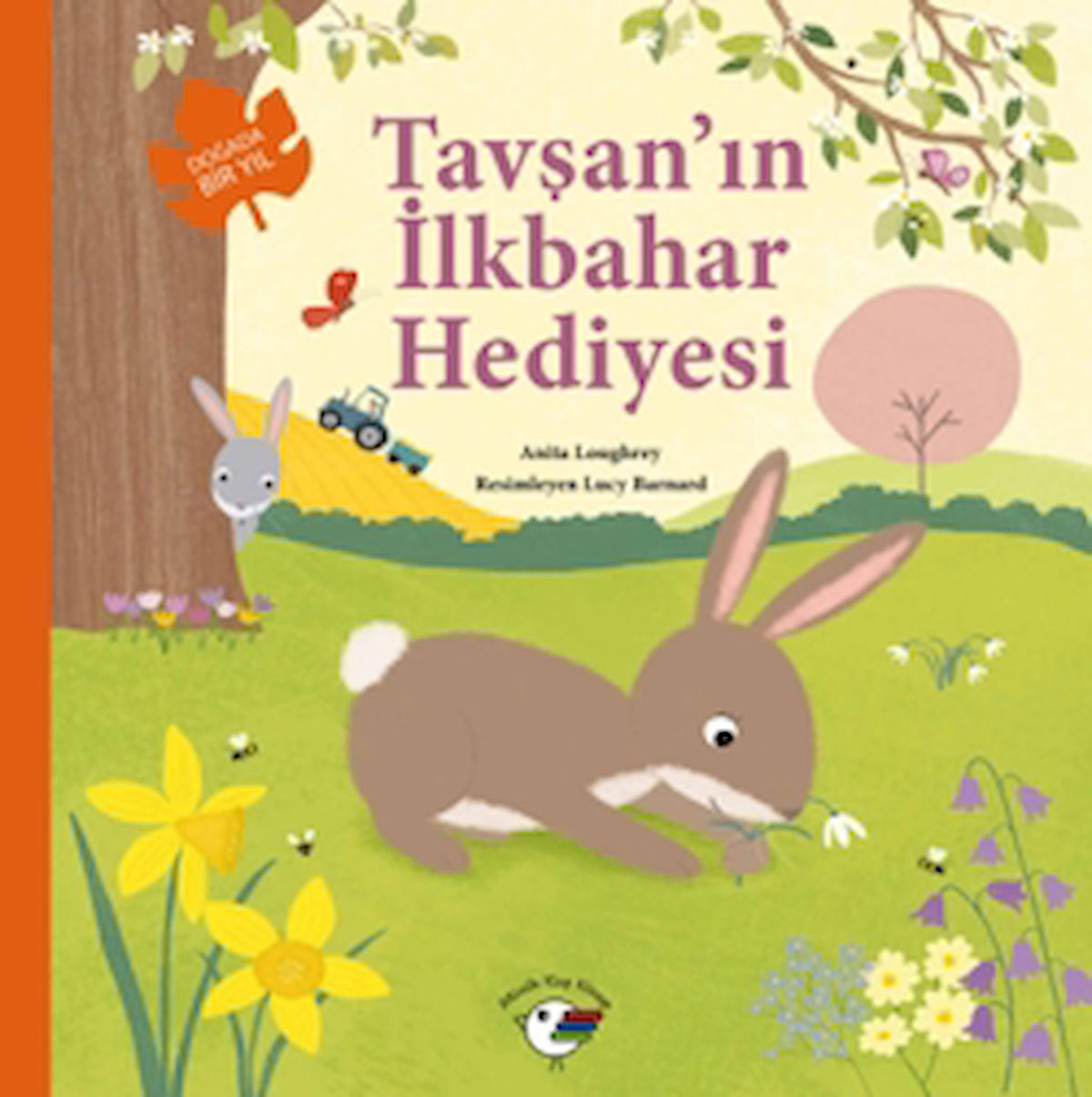 Tavşan’ın İlkbahar Hediyesi – Doğada Bir Yıl / Anita Loughrey / Minik Kuş Kitap / 9786259986838