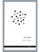 Cam Arılar - Ernst Jünger - Jaguar Kitap