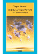 Bir Bulut Kaynıyor - Bu Diyar Baştanbaşa 4 - Yaşar Kemal - Yapı Kredi Yayınları