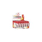 Powertech Thermotech Limon Aromalı L-Karnitin 24 Shot