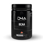 Dna Nutrition Karpuz Aromalı Kompleks Glutamin BCAA 500 gr Toz