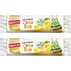 Koroplast Limon Kokulu Büzgülü Orta Boy 55x60 cm Çöp Poşeti 15x2 Adet Sarı