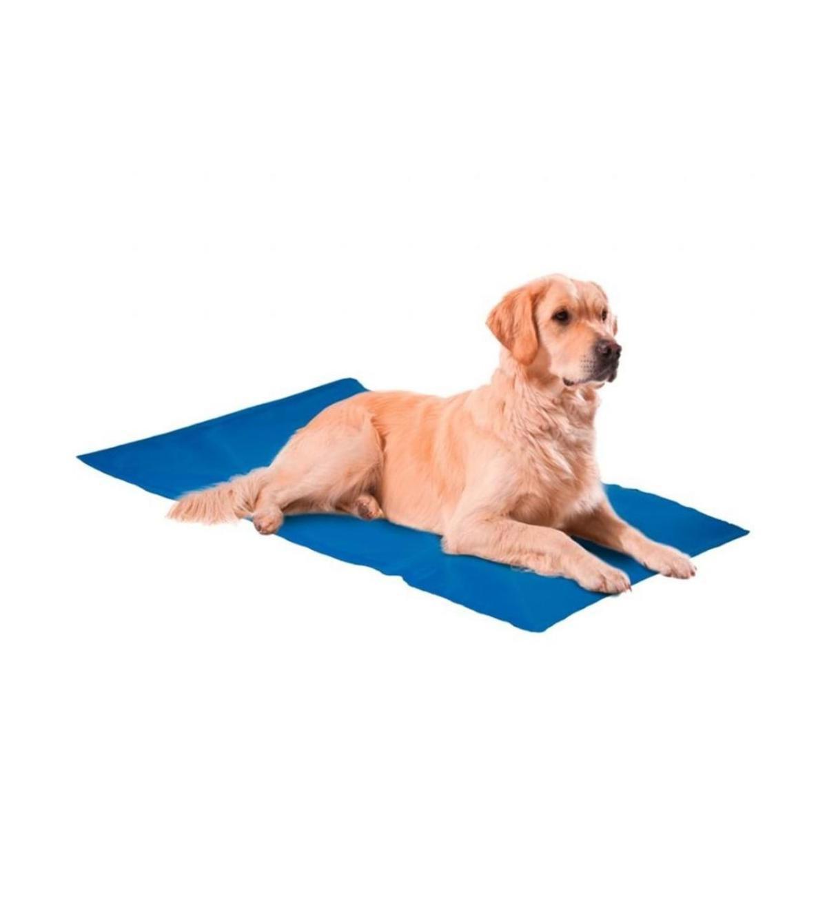 Nunbell XL Büyük Irk İç Mekan Köpek Yatağı Mavi
