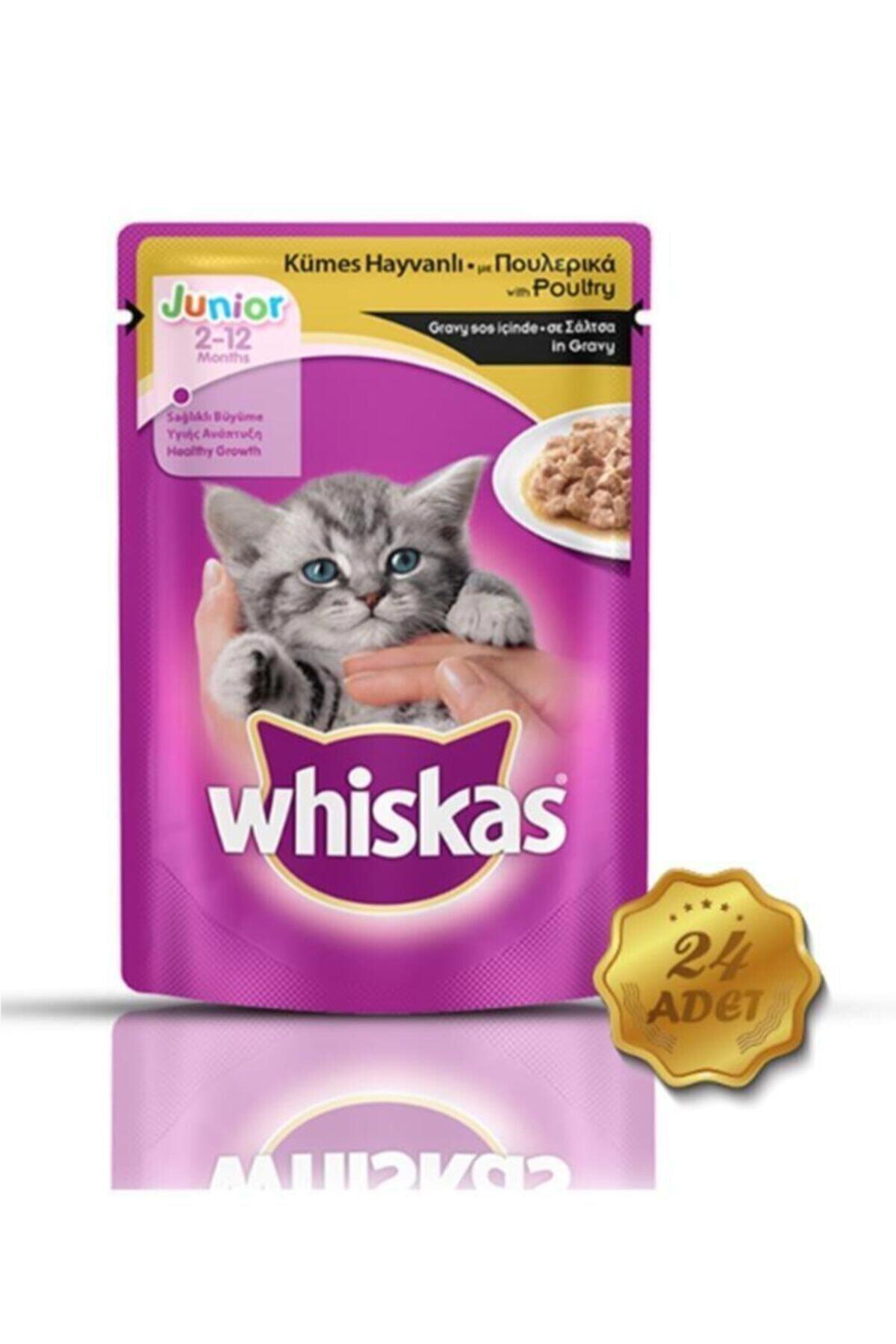 Whiskas In Gravy Kümes Hayvanlı Yavru Yaş Kedi Maması 24x100 gr