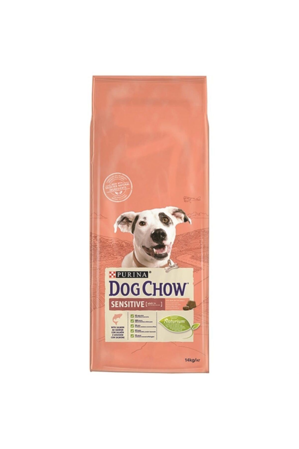 Purina Dog Chow Somonlu Tüm Irklar Yetişkin Kuru Köpek Maması 14 kg