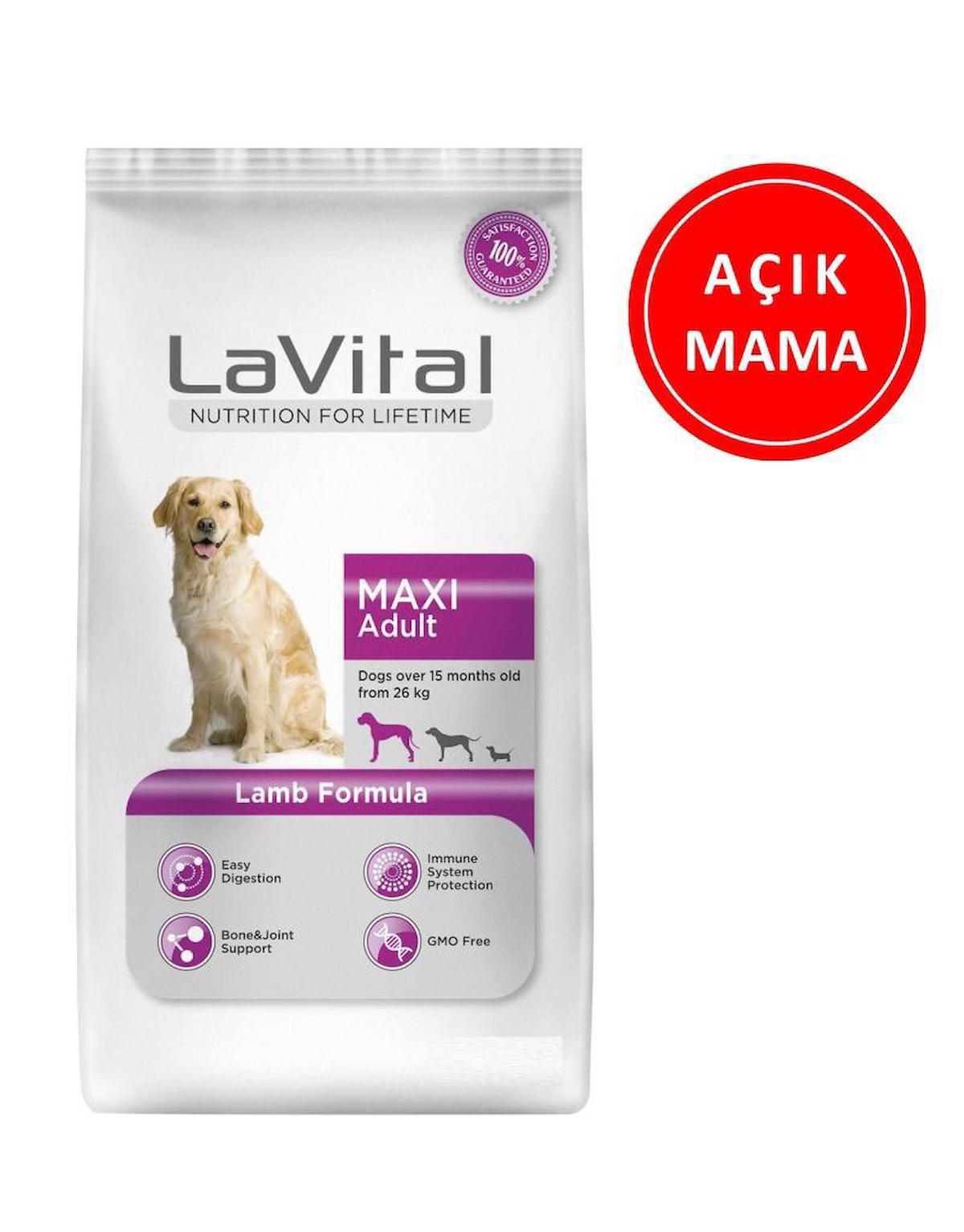Lavital Maxi Kuzu Etli Tüm Irklar Yetişkin Kuru Köpek Maması 1 kg
