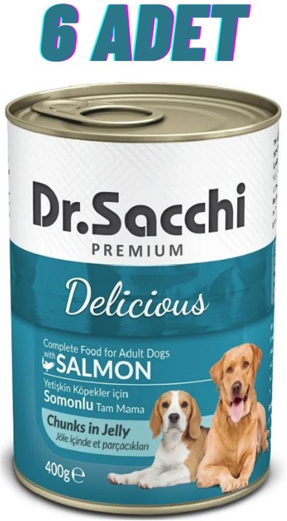 Dr.Sacchi Premium Somonlu Yetişkin Yaş Köpek Maması 400 gr 6'lı