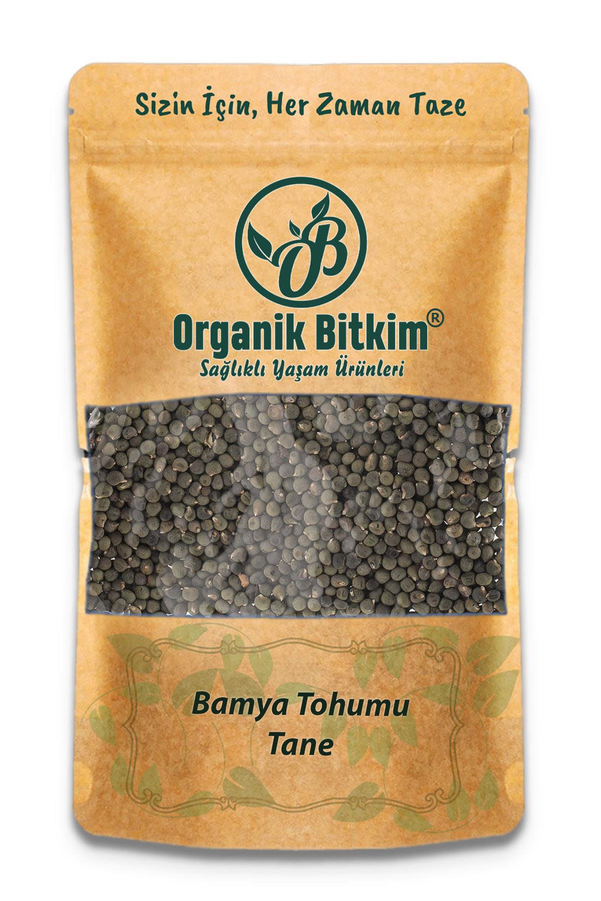 Organik Bitkim Glutensiz Bamya Tohumu Tane 500 gr