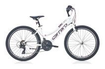 Carraro Speed 242 24 Jant 21 Vites Dağ Bisikleti Pembe