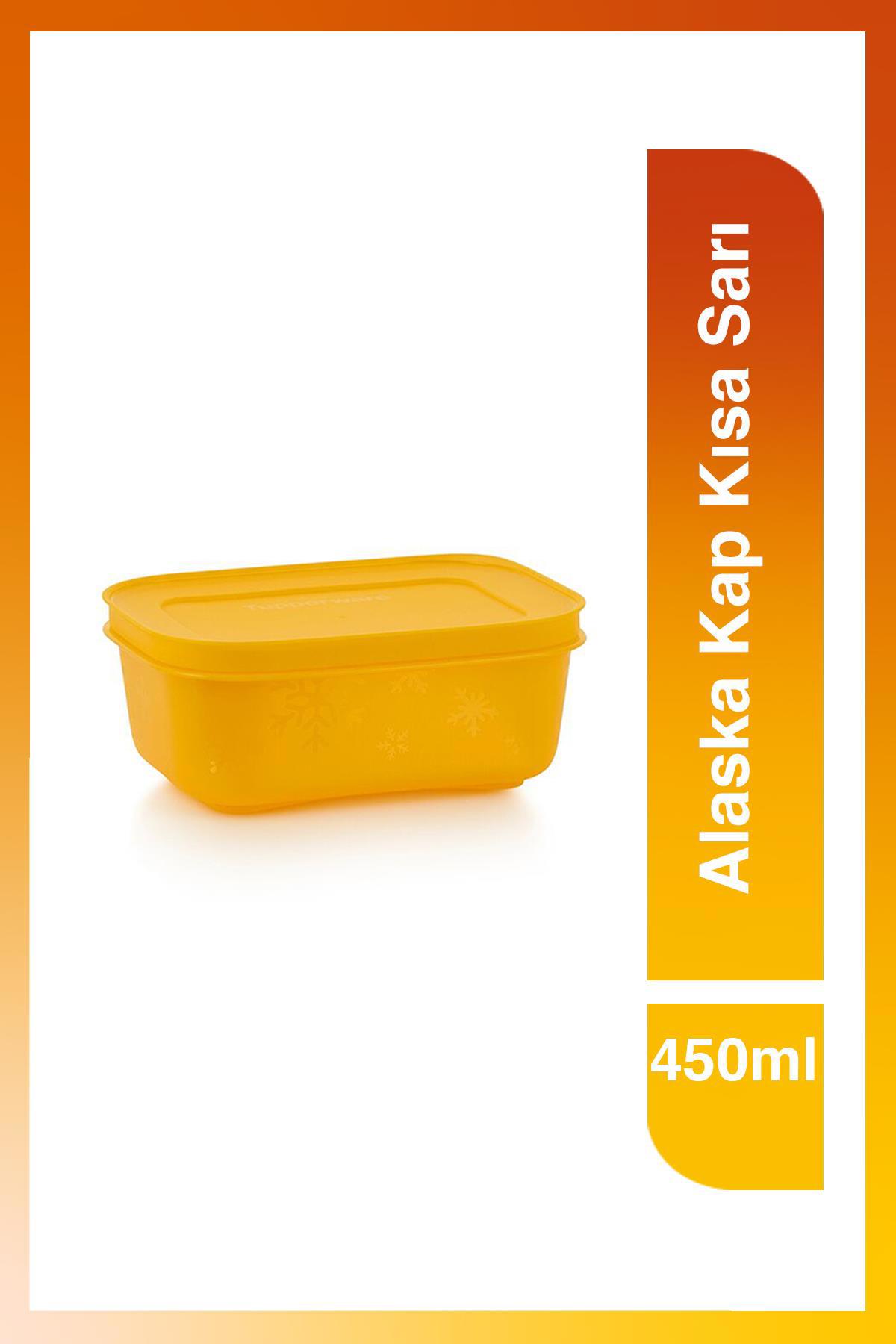 Tupperware 2 Parça Dikdörtgen Plastik Saklama Kabı 450 ml