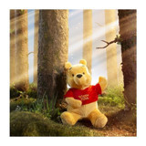 Disney Winnie The Pooh Ayı Lisanslı 30 cm Peluş Oyuncak
