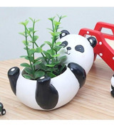 Florada Sevimli Panda Figürlü Sukulent Saksı