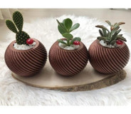 Florada Sukulent 3 Adet 0.5 lt Saklı Bordo