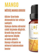 Lofty Mango Oda Kokusu 10 ml