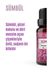 Auran Sümbül Oda Kokusu 10 ml