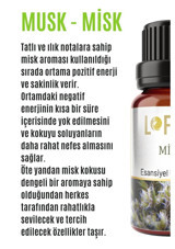 Lofty Misk Oda Kokusu 10 ml