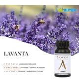 Akscent Lavanta Oda Kokusu 250 ml