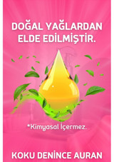 Auran Bebek Pudrası Oda Kokusu 430 ml