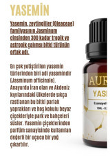 Auran Yasemin Oda Kokusu 10 ml
