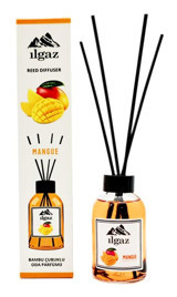 Ilgaz Reed Mango Oda Kokusu 110 ml