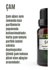 Auran Çam Ağacı Oda Kokusu 10 ml