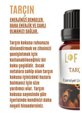 Lofty Tarçın Oda Kokusu 10 ml