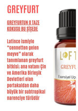 Lofty Greyfurt Oda Kokusu 10 ml