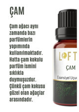 Lofty Çam Ağacı Oda Kokusu 10 ml