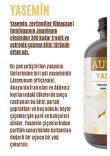 Auran Yasemin Oda Kokusu 100 ml