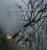 Yokoluş Serüveni Saliha Nilüfer Alef