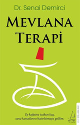 Mevlana Terapi Senai Demirci Destek Yayınları