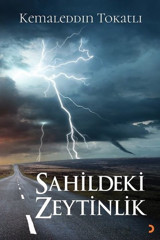 Sahildeki Zeytinlik Kemaleddin Tokatlı Cinius