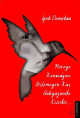Nereye Konacağını Bilemeyen Kuş Gökyüzünde Esirdir İpek Demirkan Destek Yayınları