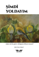Şimdi Yoldayım Begüm Fırat Perseus Yayınevi