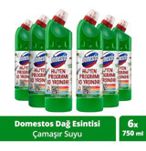 Domestos Maksimum Hijyen Dağ Esintisi Konsantre Çamaşır Suyu 4.86 lt