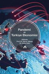 Pandemi ve Türkiye Ekonomisi Kolektif Adres