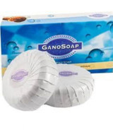 Gano Organik Antibakteriyel Sabun 2x100 gr