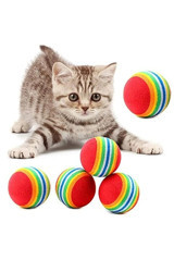 Tineke Hareketli Peluş Tırmalama Yavru Top Kedi Oyuncağı