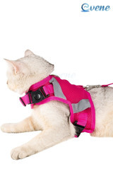 Evene Fileli Fosforlu Pembe Ayarlanabilir Gezdirme Göğüs Kedi Tasması