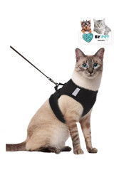 Bypet Fileli Fosforlu Siyah Ayarlanabilir Gezdirme Göğüs Kedi Tasması