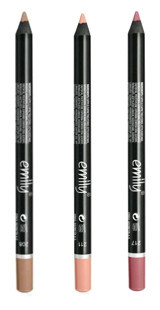 Emily 3 'lü Set No:208-211-217 Mat Dudak Kalemi Çok Renkli