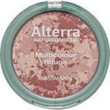 Alterra Multicolour No:01 Rose Parlak Toz Allık
