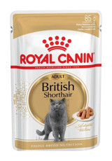 Royal Canin British Shorthair Yetişkin Yaş Kedi Maması 24x85 gr