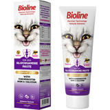Bioline Glucosamine B Vitamini Bağışıklık Güçlendirici Yetişkin Kedi Vitamini Macun 2x100 gr